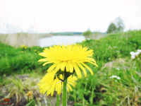 /album/fotogalereya-golovna-storinka/a2016-03-5-13-28-24-png/