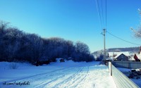 /album/fotogalereya-golovna-storinka/newge-jpg/